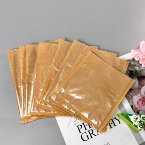 Plain Oil-Proof Bag04