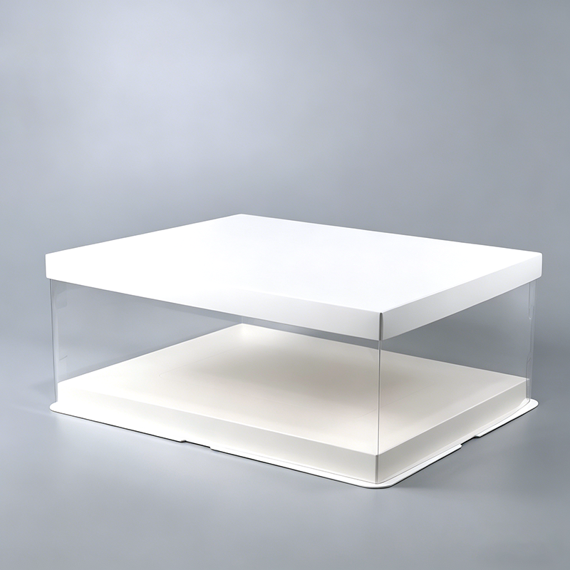 Rectangle Clear Cake Box (2)